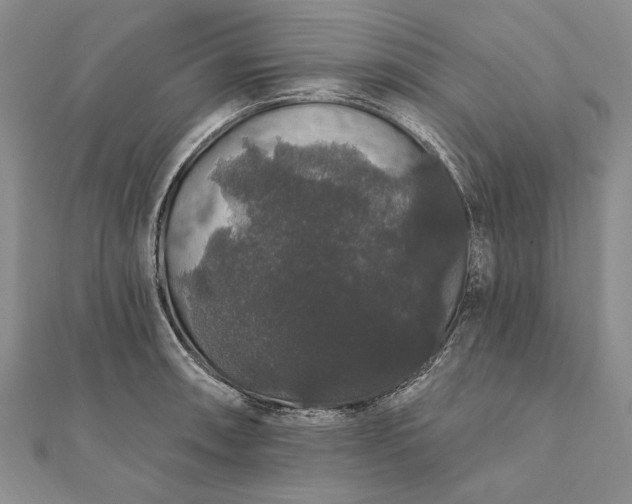 X0000111911090200908101155