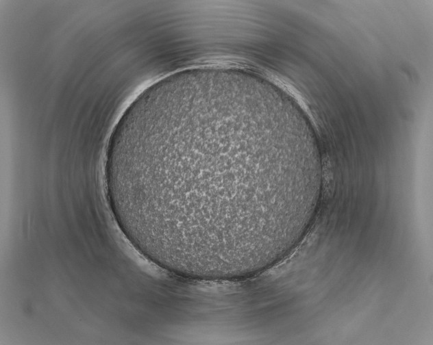 X0000111911091200908101155