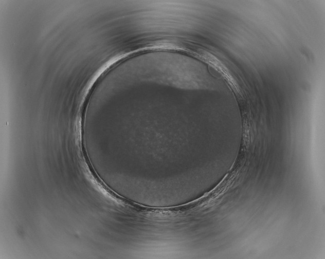 X0000111911092200908101155