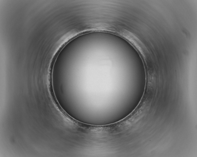 X0000111911093200908101155