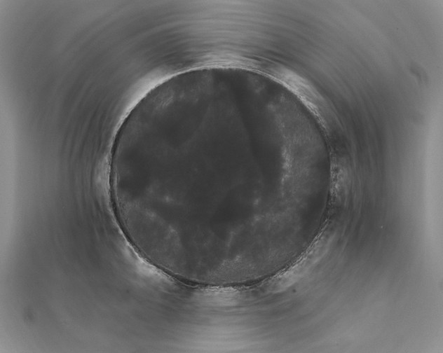 X0000111911094200908101155