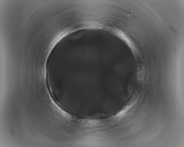 X0000111911095200908101155