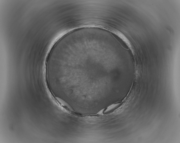 X0000111911096200908101155