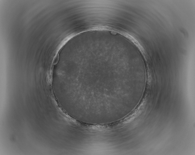 X0000111911097200908101155