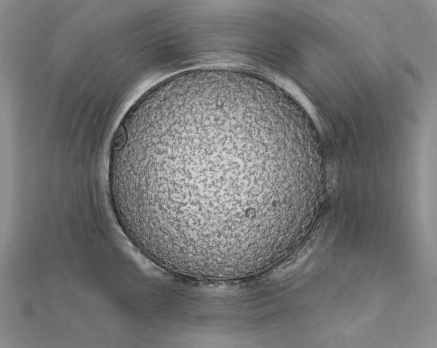 X0000111911099200908101155