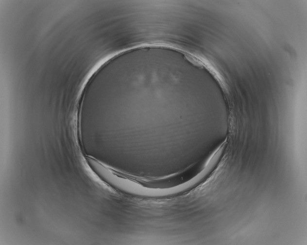 X0000111911100200908101155