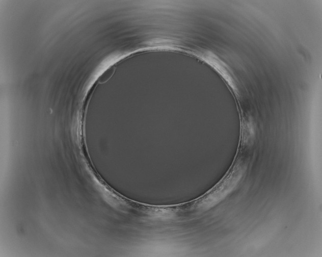 X0000111911101200908101155