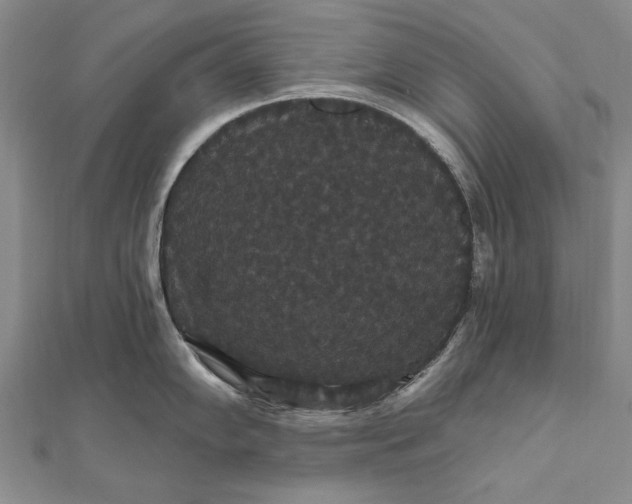 X0000111911102200908101155