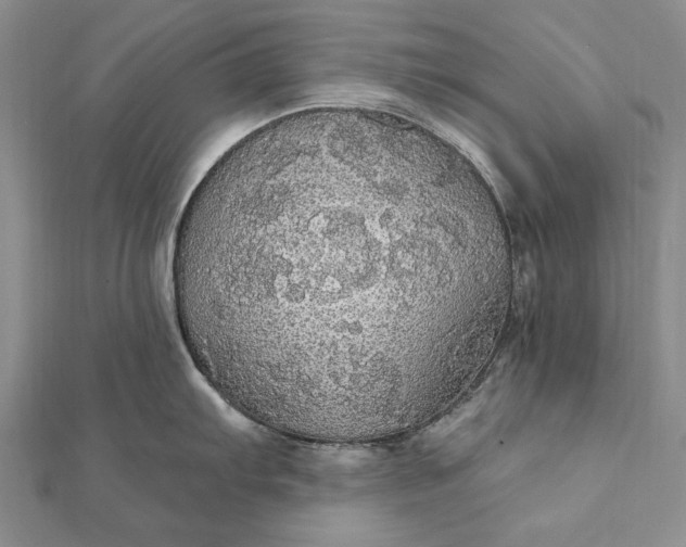 X0000111911103200908101155