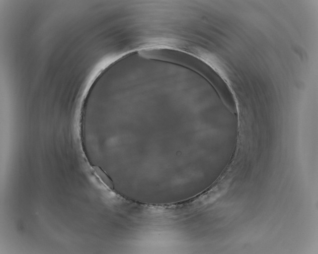 X0000111911104200908101155