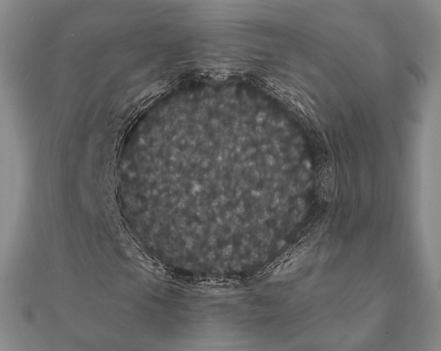 X0000111911105200908101155