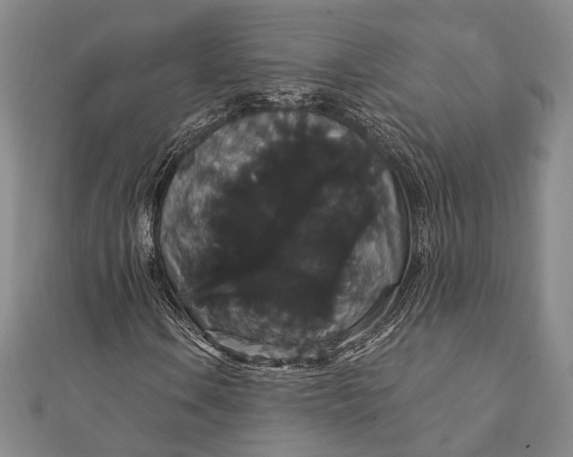 X0000111911106200908101155