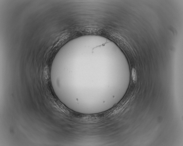 X0000111911107200908101155