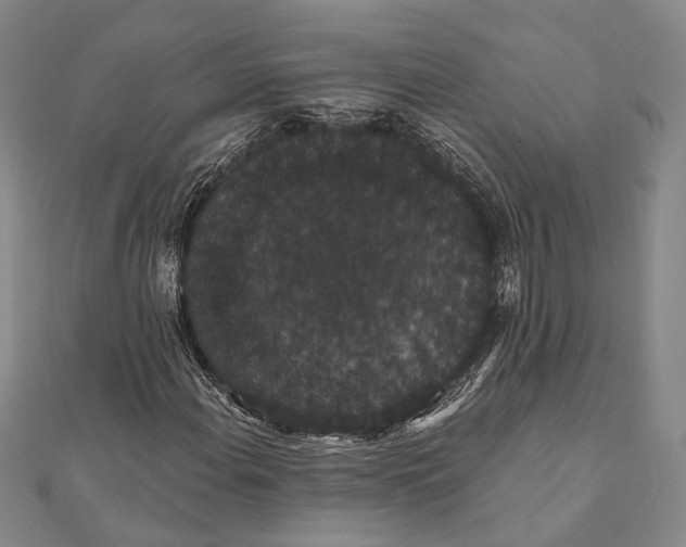 X0000111911108200908101155