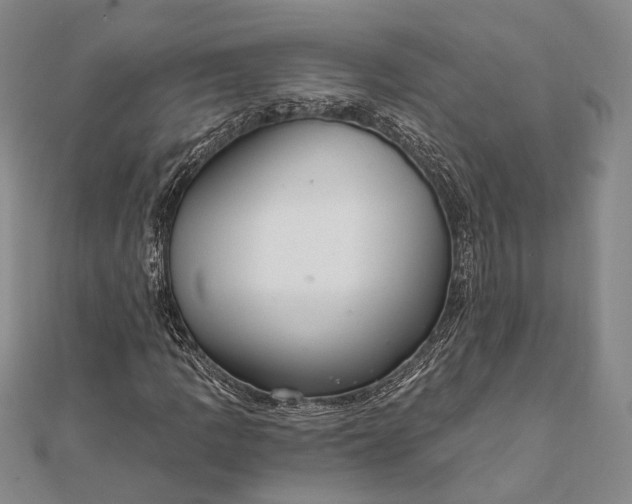 X0000111911109200908101155