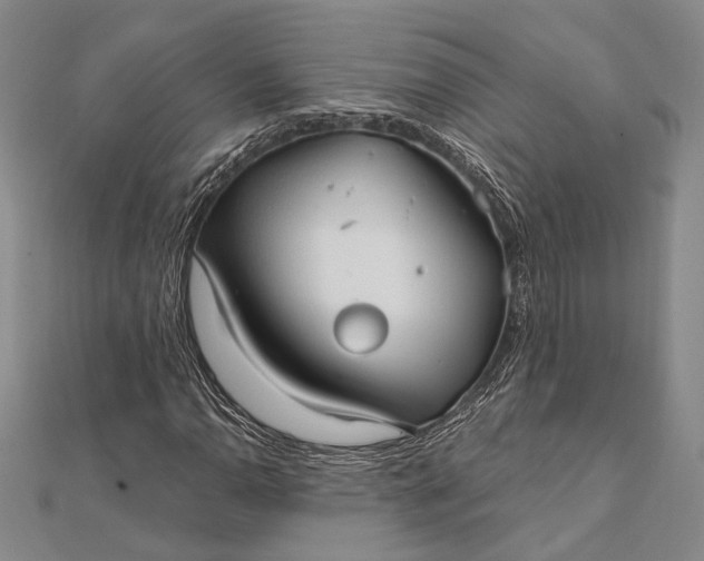 X0000111911110200908101155