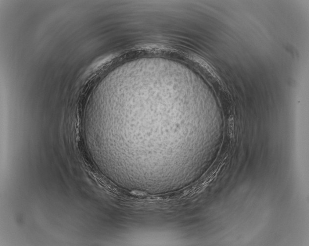 X0000111911111200908101155