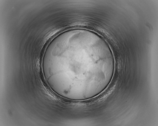 X0000111911113200908101155