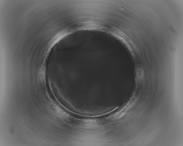 X0000111911114200908101155