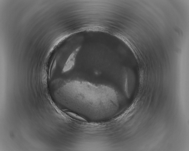 X0000111911115200908101155