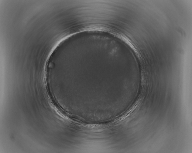 X0000111911116200908101155