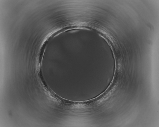 X0000111911117200908101155