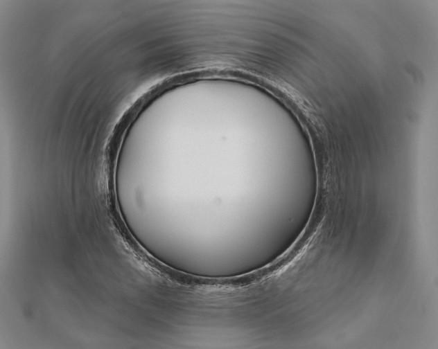 X0000111911118200908101155