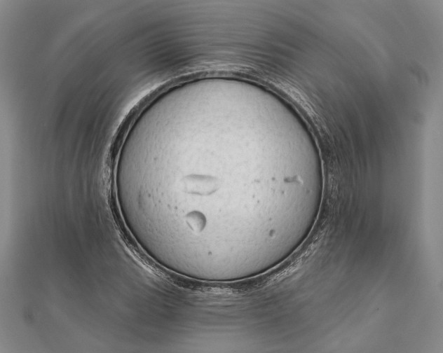 X0000111911119200908101155