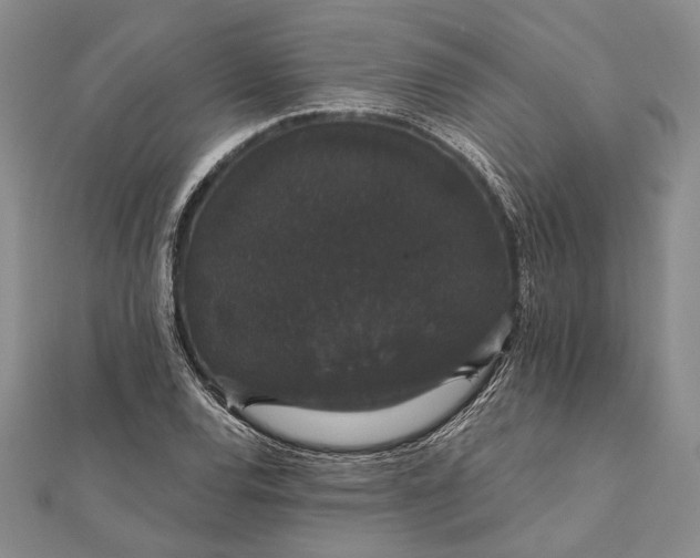 X0000111911120200908101155