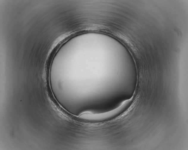 X0000111911122200908101155