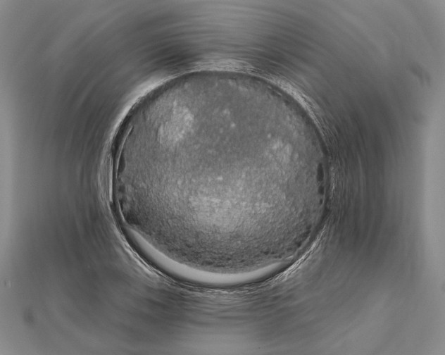 X0000111911123200908101155