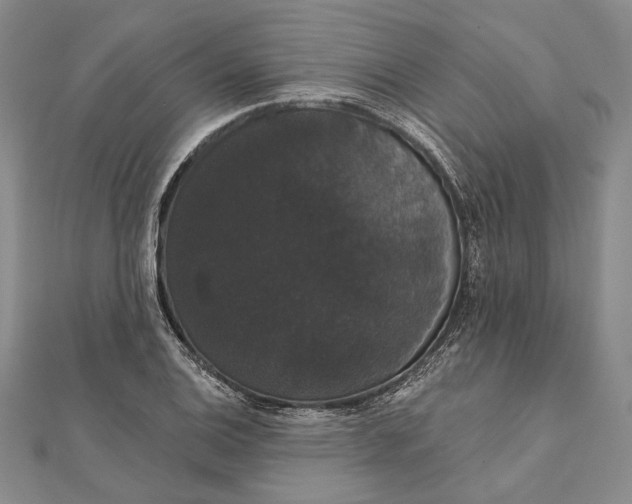 X0000111911124200908101155