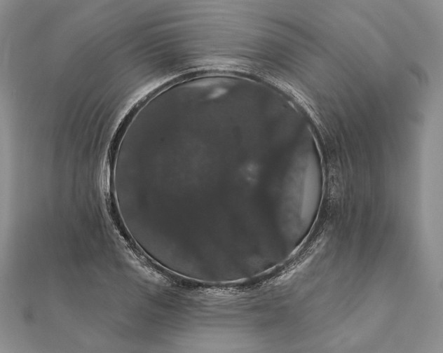 X0000111911125200908101155