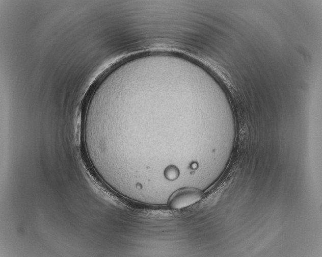 X0000111911126200908101155