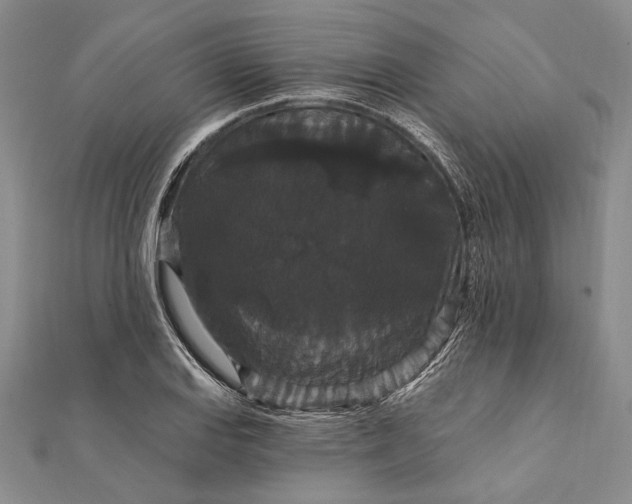 X0000111911127200908101155