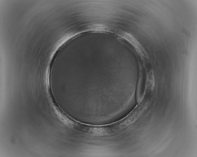 X0000111911128200908101155