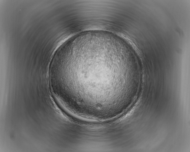 X0000111911129200908101155