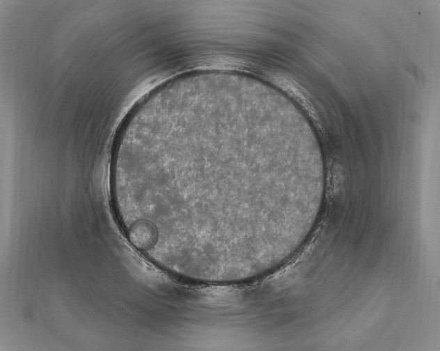 X0000111911130200908101155