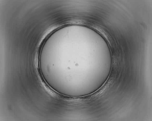 X0000111911131200908101155