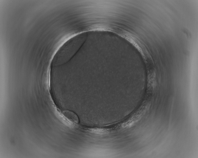 X0000111911132200908101155