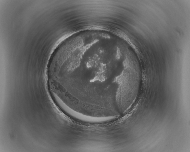 X0000111911133200908101155