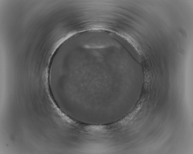 X0000111911134200908101155