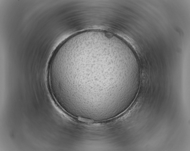 X0000111911135200908101155