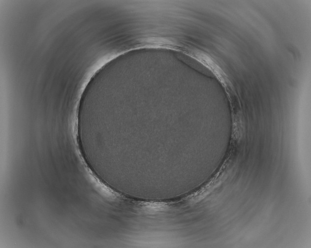 X0000111911136200908101155