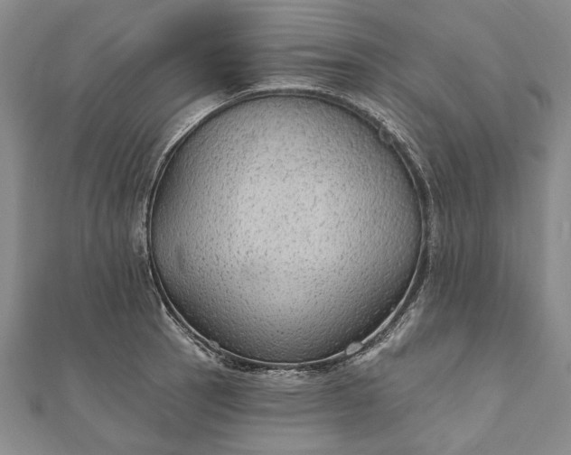 X0000111911137200908101155