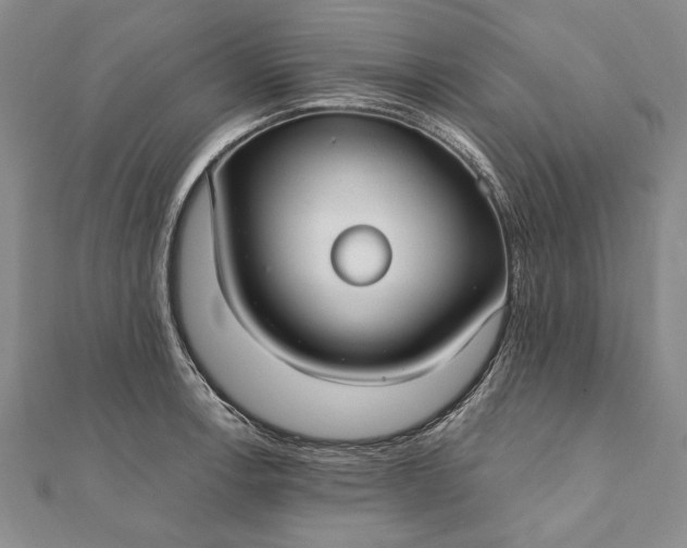 X0000111911138200908101155