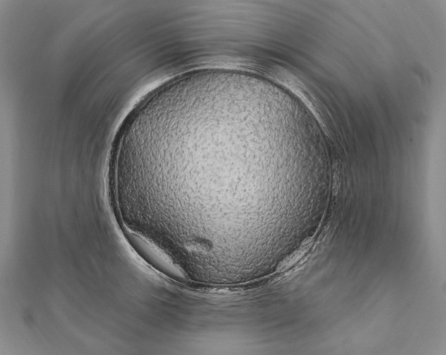 X0000111911139200908101155