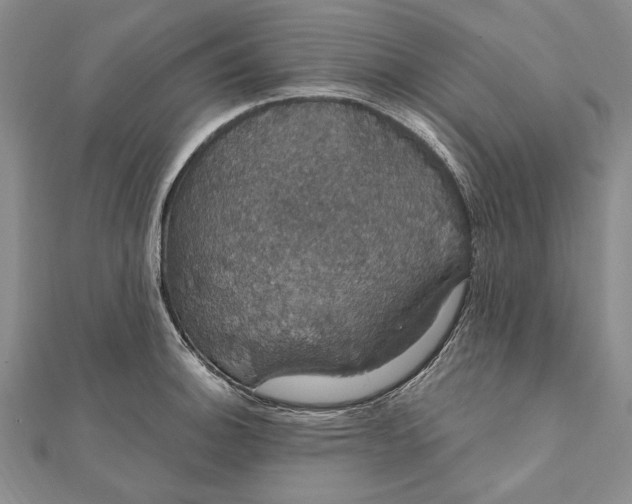 X0000111911140200908101155