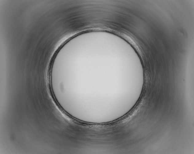 X0000111911141200908101155