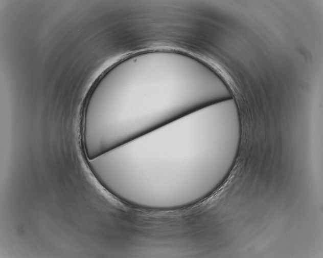 X0000111911142200908101155